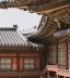 日韩爱情电影精选封面，男女主角在樱花树下相望，浪漫温柔